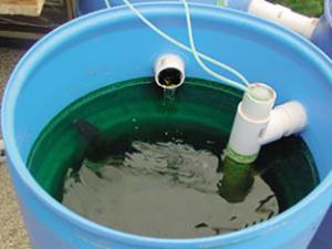 Aquaponic System