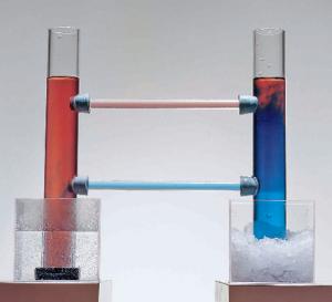 Ward's® Oceanic Circulation Model