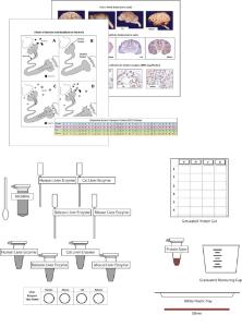 Science Take-Out® Use Of Animals For Medical Testing