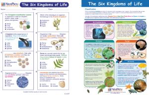 Visual Learning Guides