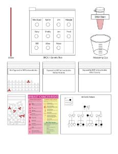 Science Take-Out® Breast Cancer Risk: Genes And The Environment