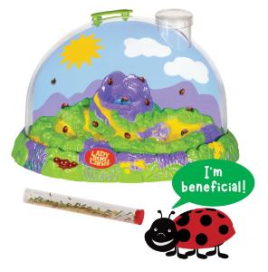 Lady Bug Land