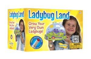 Lady Bug Land