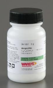 Ampicillin