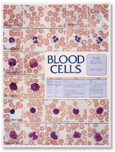 Biocam Mircohistology Charts