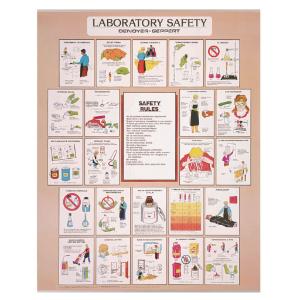 Laboratory Safety Chart