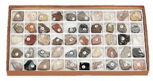 Classroom Collection of Minerals and Rocks