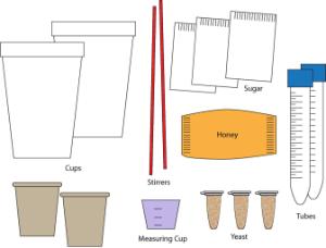 Science Take-Out® Yeast Respiration