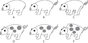 Science Take-Out® What Is It? Dichotomous Keys