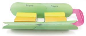 Model kit enzymes