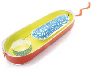 Model kit bacterial cell