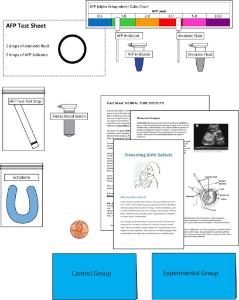 Science Take-Out® Birth Defects And Folic Acid