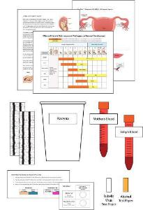 Science Take-Out® Life Support For A Developing Baby