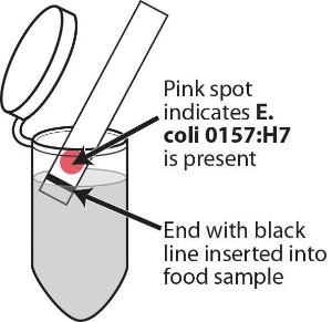 Science Take-Out® A Case Of Food Poisoning