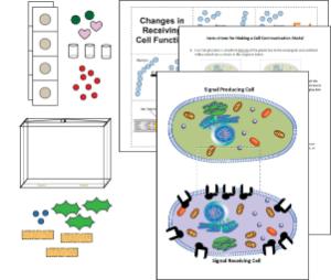 Science Take-Out® Cell Communication