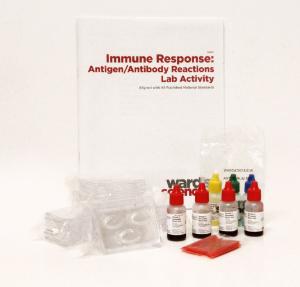 Ward's® Immune Response: Antigen/Antibody Reactions Kit