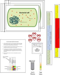 Science Take-Out® Genetic Engineering: Way To Grow