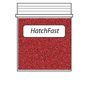 Science Take-Out® Factors That Affect Sponge Egg Hatching