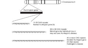 Science Take-Out® Genetic Testing For Huntington's Disease