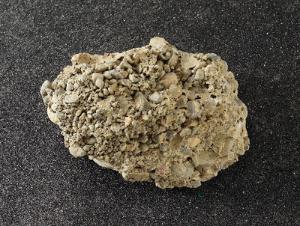 Ward's® Conglomerate (Quartz)