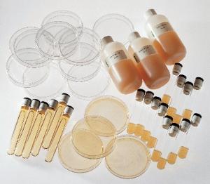 Prepared Tryptic Soy Agar Media