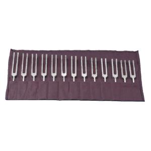 Equally Tempered Tuning Forks Set