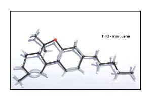 Drug Testing Model Set