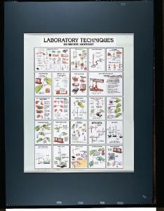 Laboratory Techniques Chart