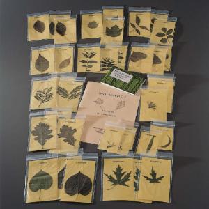 Leaf Identification Kit