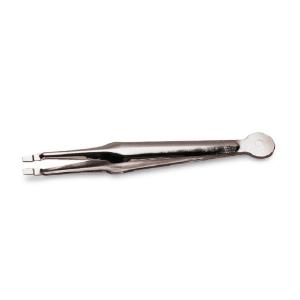 Steel Forceps