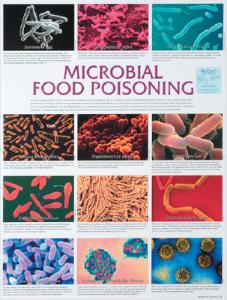 Biocam Pathogen Charts