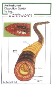 Illustrated Dissection Guides