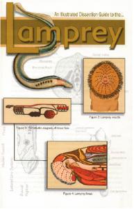 Illustrated Dissection Guides