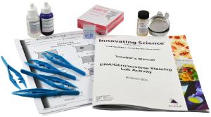 DNA/chromosome staining lab activity