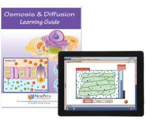 Guide, osmosis W online lesson