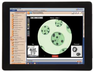 Guide, protists W online lesson