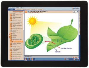 Guide, photosynthesis W online lesson