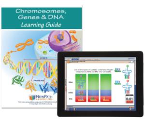 Guide, genes DNA W online lesson