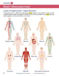 Guide, control body W online lesson