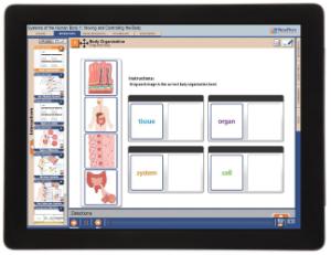 Guide, control body W online lesson