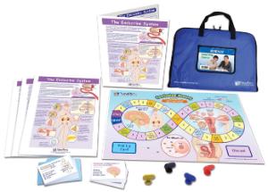 Game endocrine system LC-GR 6-9