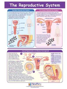 Game reproductive system LC-GR 6-9