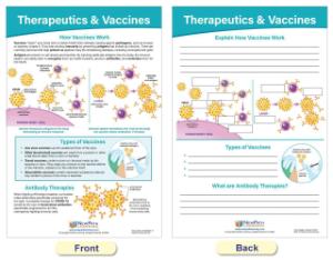 Chart coronavirus structure