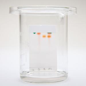 Ward's® AP Chemistry Investigation 5: Thin Layer Chromatography: How Can we Separate a Mixture?