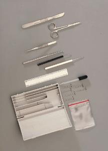 Ward's® Nurse's Training Dissecting Set