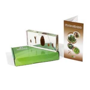 Invertebrates 27 Piece Set