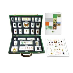 27-Piece Invertebrate Embedment Set