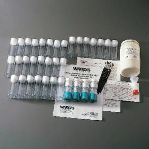 Ward's® Drosophila Culturing Kit