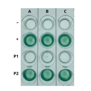 Simulation of HIV by ELISA