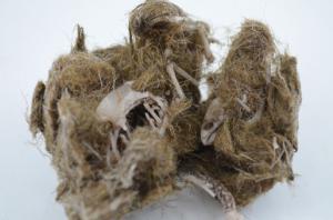 Simulated owl pellet, bird